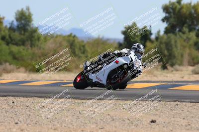 media/Mar-10-2024-SoCal Trackdays (Sun) [[6228d7c590]]/11-Turn 7 (130pm)/